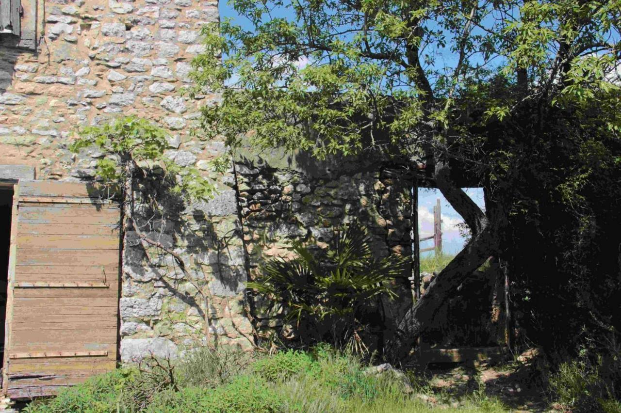 Studio Gard Calme Et Nature Russan Exteriér fotografie