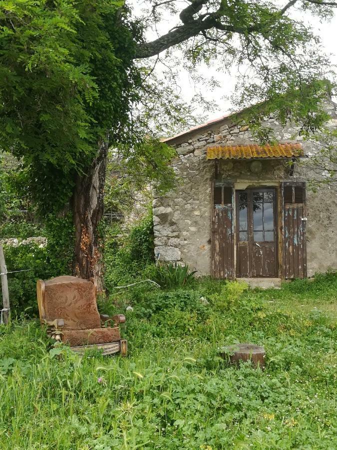 Studio Gard Calme Et Nature Russan Exteriér fotografie