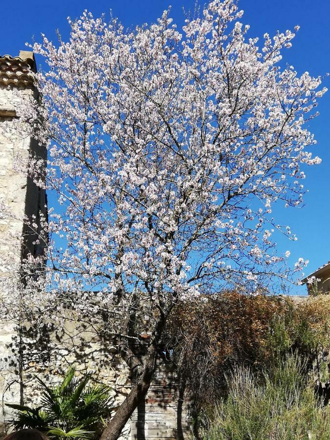 Studio Gard Calme Et Nature Russan Exteriér fotografie