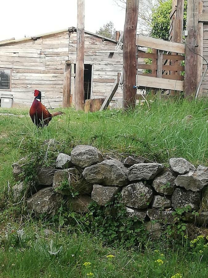 Studio Gard Calme Et Nature Russan Exteriér fotografie